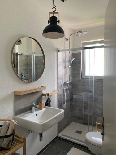 La salle de bains est pourvue d'un lavabo, d'une douche et d'un miroir. dans l'établissement Apartament Blumenblick, à Rielasingen-Worblingen