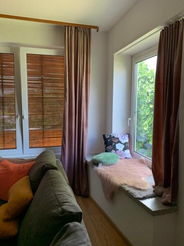 a living room with a couch and a window at Apartament Blumenblick in Rielasingen-Worblingen