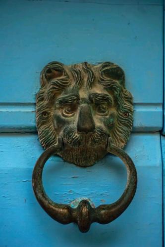Guesthouse Lion