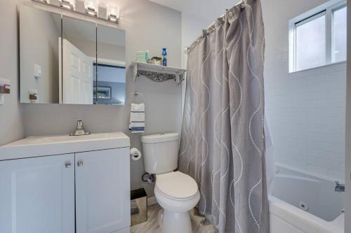 La salle de bains est pourvue de toilettes et d'un rideau de douche. dans l'établissement Van Gogh themed home-All Community Amenities Included!, à Sandyville