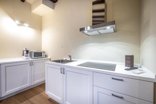 Virtuvė arba virtuvėlė apgyvendinimo įstaigoje Garibaldi Luxury apartments