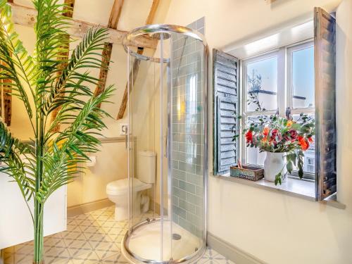 a shower in a bathroom with a toilet and a window at Haberdashers Loft in Bungay