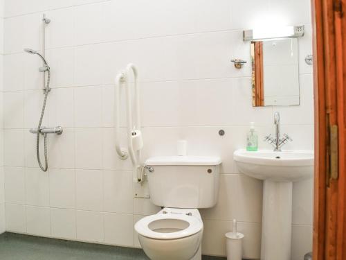 uma casa de banho com um WC e um lavatório em Dragonfly - Uk42521 em Aldwincle Saint Peter