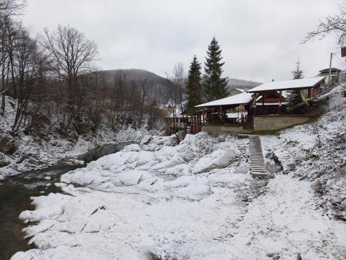 a house on a snow covered hill with a river at Садиба Федорчуків Гірська хатина in Sheshory