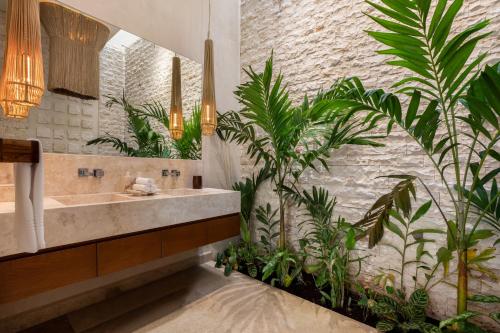 La salle de bains est pourvue d'un lavabo et de plantes. dans l'établissement Olbil Hotel Boutique, à Valladolid