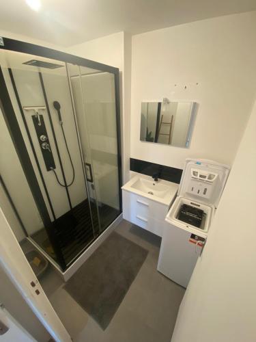 La petite salle de bains est pourvue d'une douche et d'un lavabo. dans l'établissement Appartement duplex centre Dieppe-Le perchoir St Jacques-3 chambres, à Dieppe