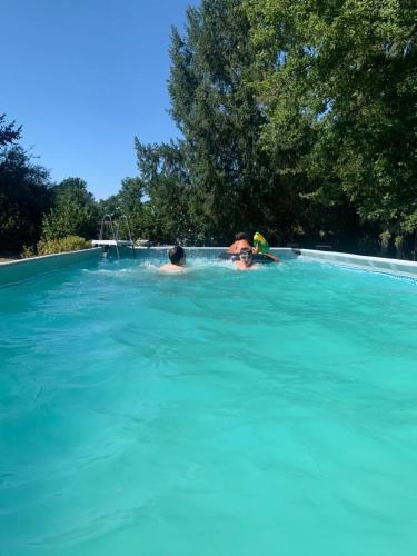two people swimming in a pool of blue water at la Petite Maison De Vacances in Oradour-Saint-Genest