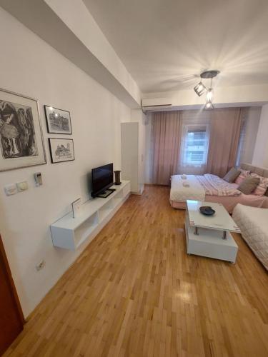 a large living room with a couch and a television at Petreski Apartments 1 in Ohrid