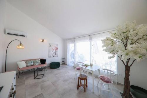 Apartment Fiorino
