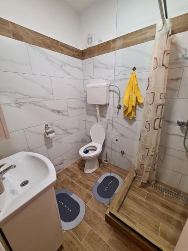 y baño con aseo, ducha y lavamanos. en Apartman Drinić en Sombor