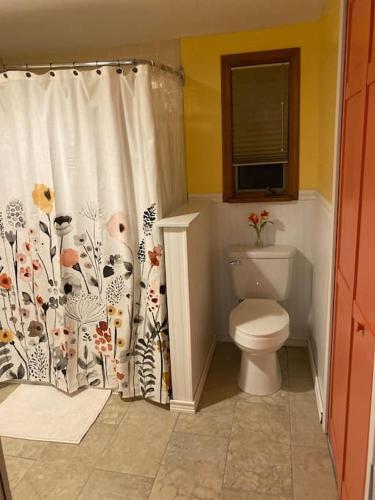 a bathroom with a toilet and a shower curtain at Peaceful Gateway to Island Creek Cottage in East Stroudsburg