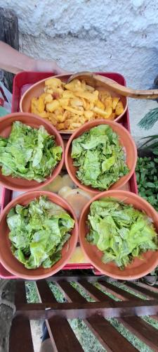 four bowls of lettuce and chips on a table at Organic Family Farm in Žabljak