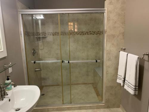 una ducha con una puerta de cristal junto a un lavabo en CS Domaine Garden Villa - 2 Bedrooms en Port Antonio