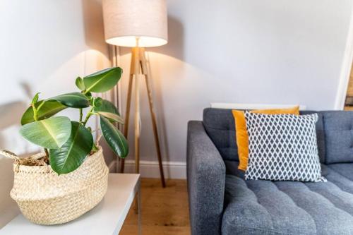 a living room with a blue couch and a plant at Spacious 3 Bedroom House York in York