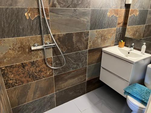 łazienka z prysznicem, toaletą i umywalką w obiekcie A Narbonne studio quartier Horte neuve w mieście Narbona