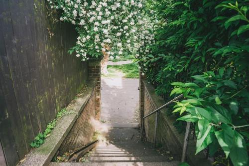 Calm Cosy House with Beautiful Riverside Walk to Centre photo 65