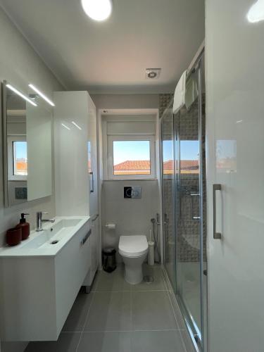 a bathroom with a toilet and a sink and a shower at The Swallows Nest in Lisbon