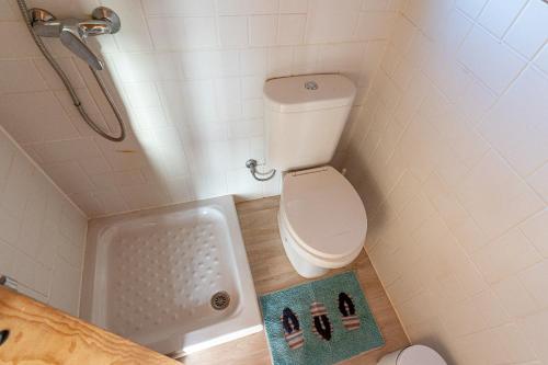 a small bathroom with a toilet and a shower at Alaia Tiny House between volcanoes and beach breaks in El Cotillo