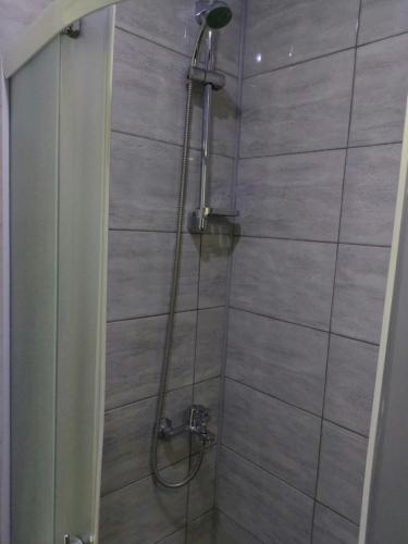 a shower with a glass door in a bathroom at Apartman Aleksić u centru grada in Knjazevac.