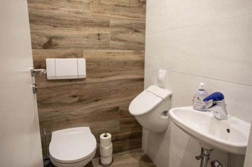 a bathroom with a toilet and a sink at Gästehaus Fuchs in Gröbming