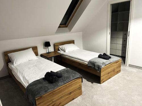 a bedroom with two beds and a window at Willa Źródlana in Kowary
