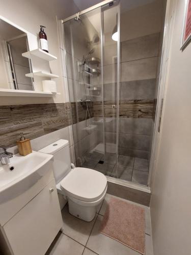 a bathroom with a shower and a toilet and a sink at Apartamenty NOVA na Krakowskiej No 2 in Bielsko-Biala