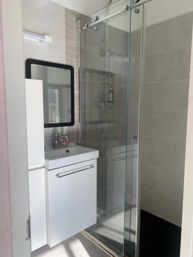 une salle de bain avec une douche avec un lavabo et un miroir dans l'établissement Studio avec Terrasse, à Aix-en-Provence