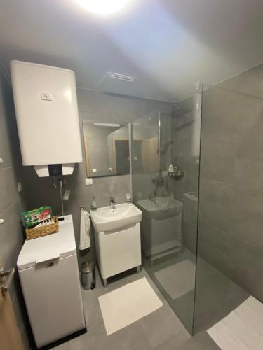 y baño pequeño con lavabo y ducha. en Apartmán Betula-apartmán v srdci Vysokých Tatier, en Vysoké Tatry