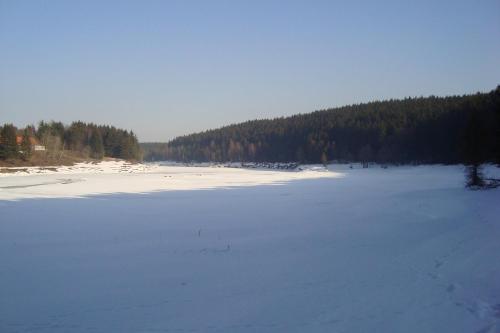 a snow covered lake with trees in the background at Hotel zur Post in Wieda