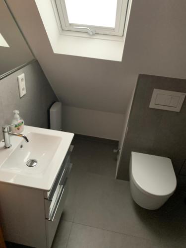 a bathroom with a sink and a toilet and a window at City-Apartment Düsseldorf in Düsseldorf