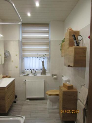 a bathroom with a toilet and a sink and a window at Zentrale-ruhige Ferienwohnung in Reichenbach im Vogtland