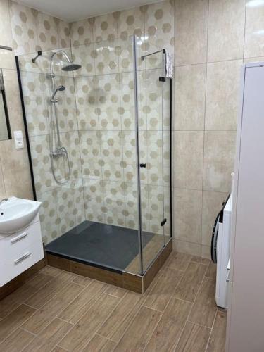 baño con ducha y puerta de cristal en Rezydencja Wyłom, en Poznan