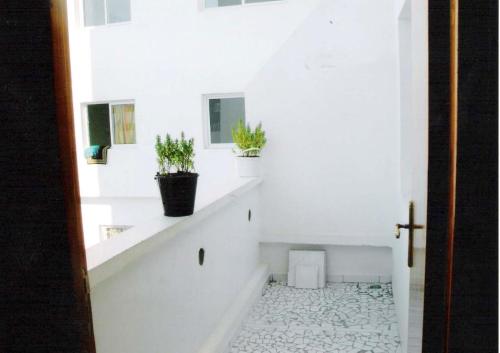 uma casa de banho branca com plantas nas escadas em Jamilasapartment em Agadir