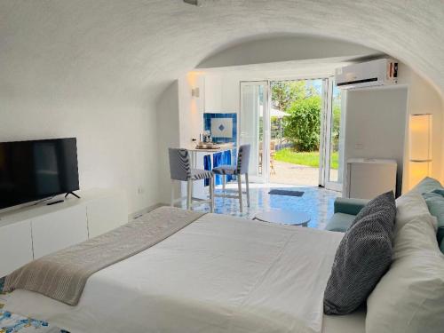 um quarto com uma cama grande e uma televisão em Grazioso MONOLOCALE nella villa NOLELU em Ischia