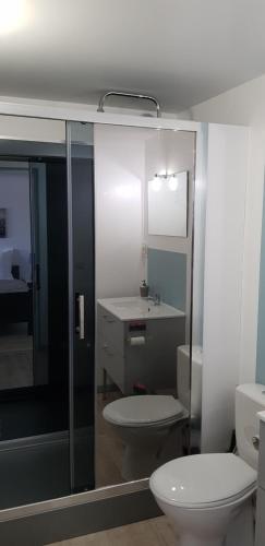 uma casa de banho com um WC e um lavatório em Havre de Paix - Maisonnette Charmante avec Extérieur Privé em Blois