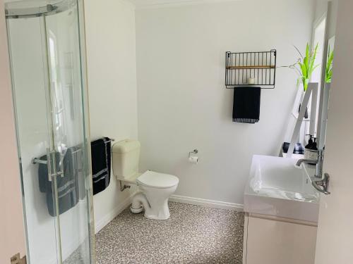 a bathroom with a toilet and a sink and a shower at La Frontiere Boutique Accommodation in Gisborne