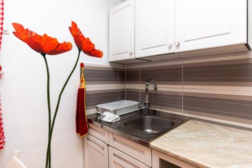 eine Küche mit einem Waschbecken und einer roten Blume in der Unterkunft Holiday Home Captain's Village in Šljivovica