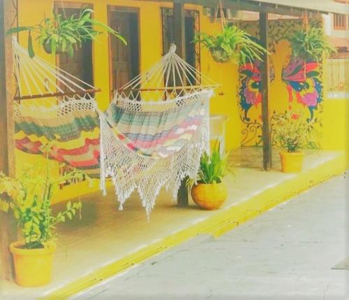 a hammock hanging from a yellow building with potted plants at POUSADA FLORA in Alter do Chao