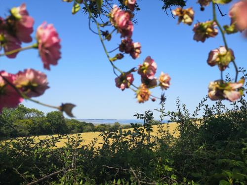 Gallery image of Y Cuddfan Gower in Swansea