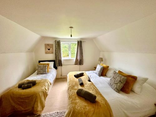 a room with two beds in a room at THREE BEDROOM Rural, relaxing and peaceful,DOGS welcome! in Abergavenny