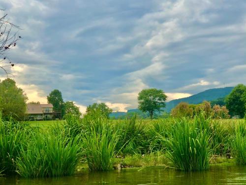 Little River Guest House at Tennessee RiverPlace, Chattanooga – Prezzi  aggiornati per il 2023