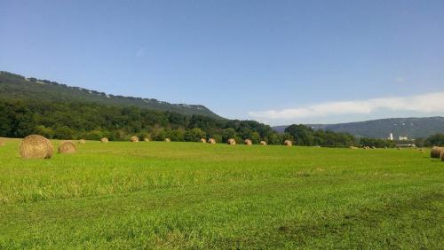 a field of green grass with hay bales at Signal Mountain Room at Tennessee RiverPlace in Chattanooga