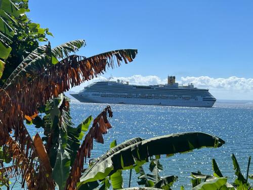 a cruise ship in the ocean with a palm tree at Vista Mare Samana Amazing Views!! in Santa Bárbara de Samaná