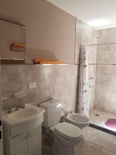 a bathroom with a toilet and a sink and a shower at Colòn Centro - Departamento 2 a 4 personas in Colón