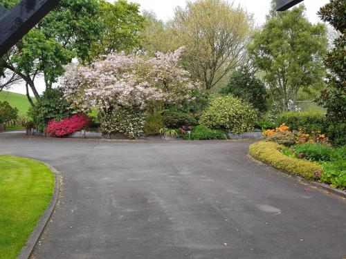 a driveway with flowering bushes and a flowering tree at Omaka Lodge in Taumarunui