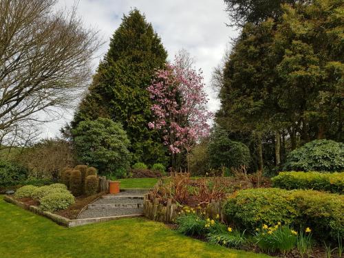 a garden with two large pine trees and a staircase at Omaka Lodge in Taumarunui