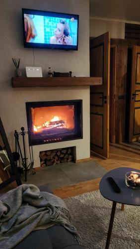 パルヌにあるTuia Apartmentのリビングルーム(暖炉、テレビ付)