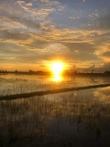 a sunset in a field with the sun in the sky at The Village Homestay in Siem Reap