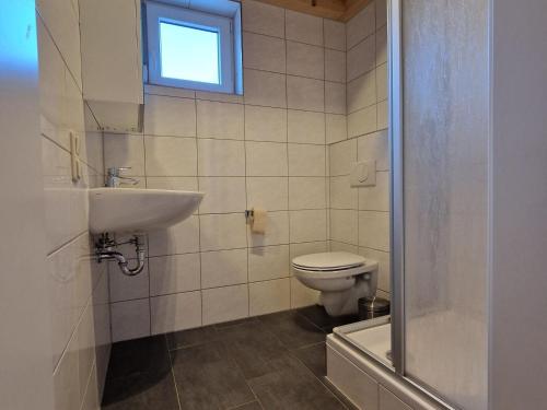 Chalet in Koetschach-Mauthen ski area في كوتسخاخ: حمام مع مرحاض ومغسلة ونافذة