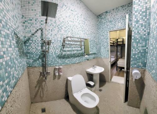 富里鄉的住宿－稻薌食旅民宿Daoxiang Travel，一间带卫生间和水槽的浴室